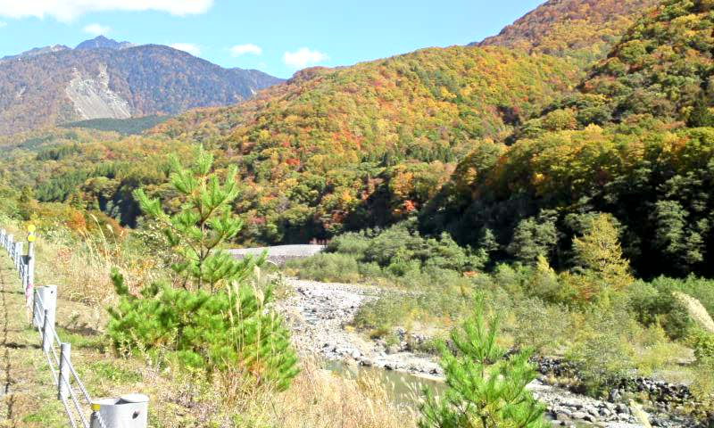 速報 新穂高ロープウェイと紅葉 1 奥飛騨温泉郷全体が紅葉黄葉に包まれています 岐阜県高山市 遊々 湯ったり ぶらり旅 ゆゆぶ