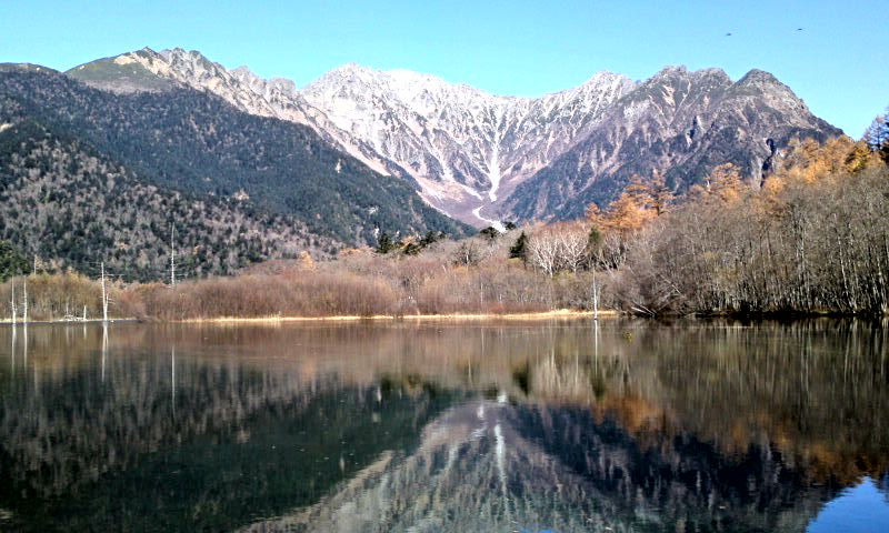 金色の上高地(1)カラマツの黄葉の名所☆焼岳・穂高連峰を見ながら