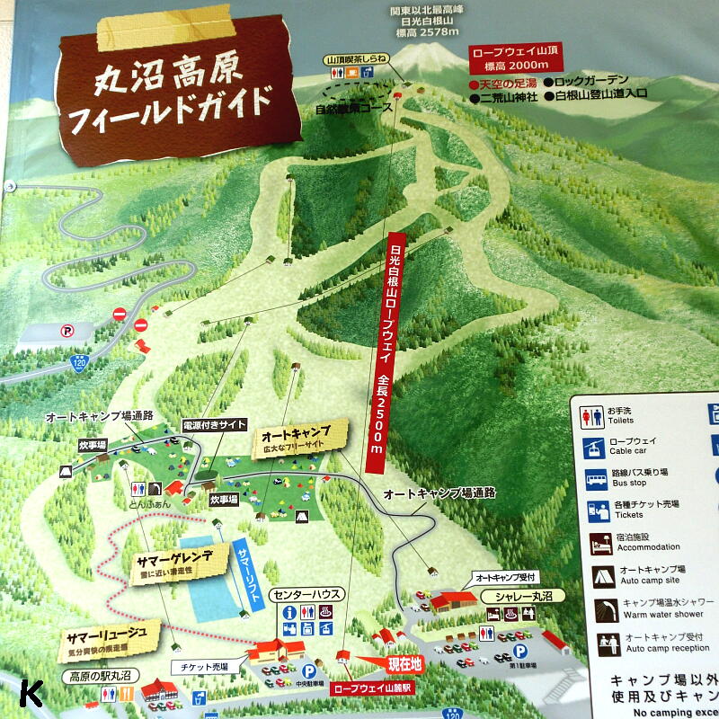 シラネアオイ開花中 日光白根山ロックガーデン 天空の足湯 群馬県利根郡片品村 遊々 湯ったり ぶらり旅 ゆゆぶ