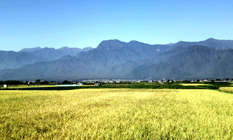 信州 安曇野の金色の稲穂と白い蕎麦の花 長野県池田町 安曇野市 アルドノア ゼロ 第１期最終話 ゆる山 湯ったり ぶらり旅 ゆゆぶ
