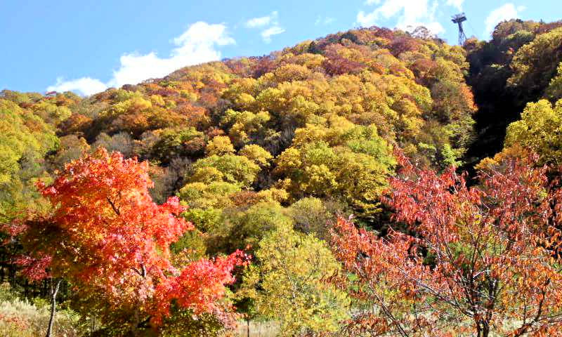 速報 新穂高ロープウェイと紅葉 2 山頂展望台からの眺めと 雲海カレー 岐阜県高山市 遊々 湯ったり ぶらり旅 ゆゆぶ 速報 新穂高ロープウェイと紅葉 2 山頂展望台からの眺めと 雲海カレー 岐阜県高山市 遊々 湯ったり ぶらり旅 ゆゆぶ
