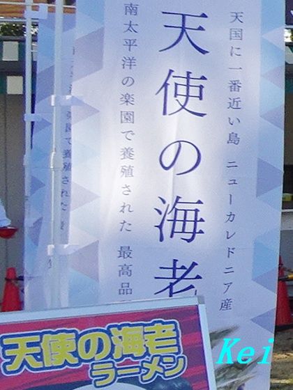 8DSC07500