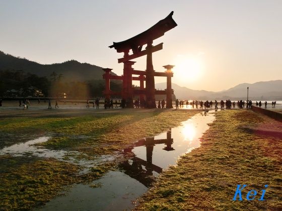 安芸の宮島 厳島神社 11 大鳥居と夕陽のコラボ 天気と時期と干満の時刻次第のキセキ 広島県廿日市市 遊々 湯ったり ぶらり旅 ゆゆぶ 安芸の宮島 厳島神社 11 大鳥居と夕陽のコラボ 天気と時期と干満の時刻次第のキセキ 広島県廿日市市 遊々 湯ったり ぶらり旅 ゆゆぶ