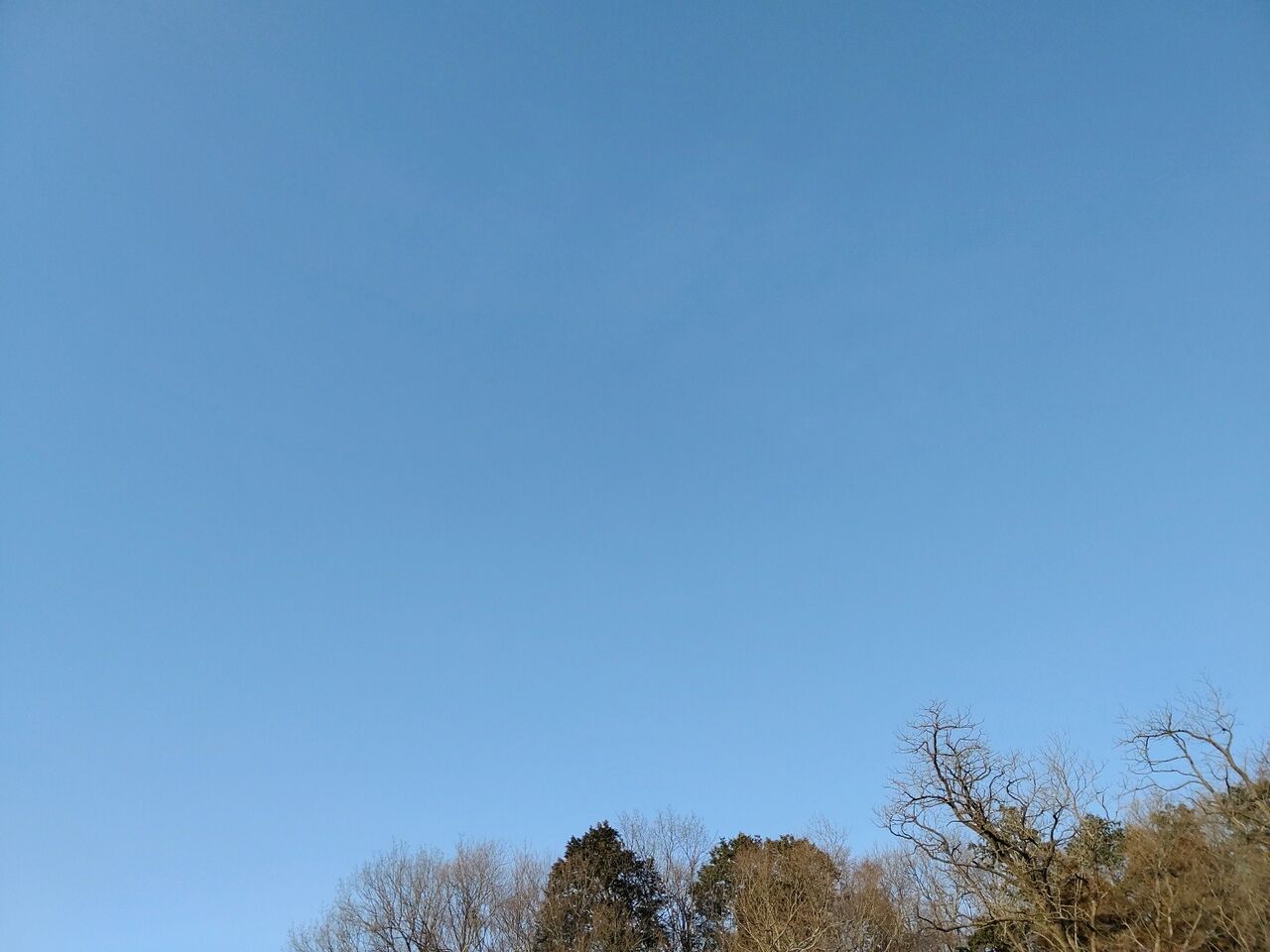 虹、青空、夕陽、イルミネーション 〔栃木県佐野市〕 : 遊々☆湯ったり