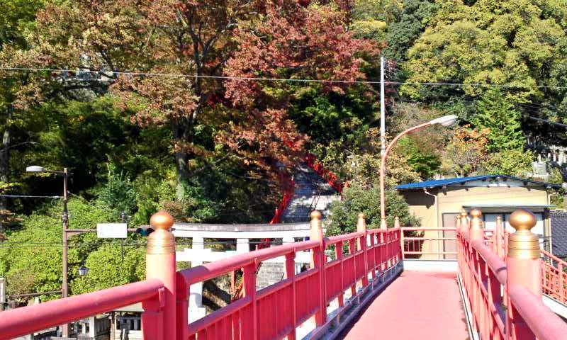 足利織姫神社(8)もみじ谷の紅葉が色付き始めです☆ 〔栃木県足利市