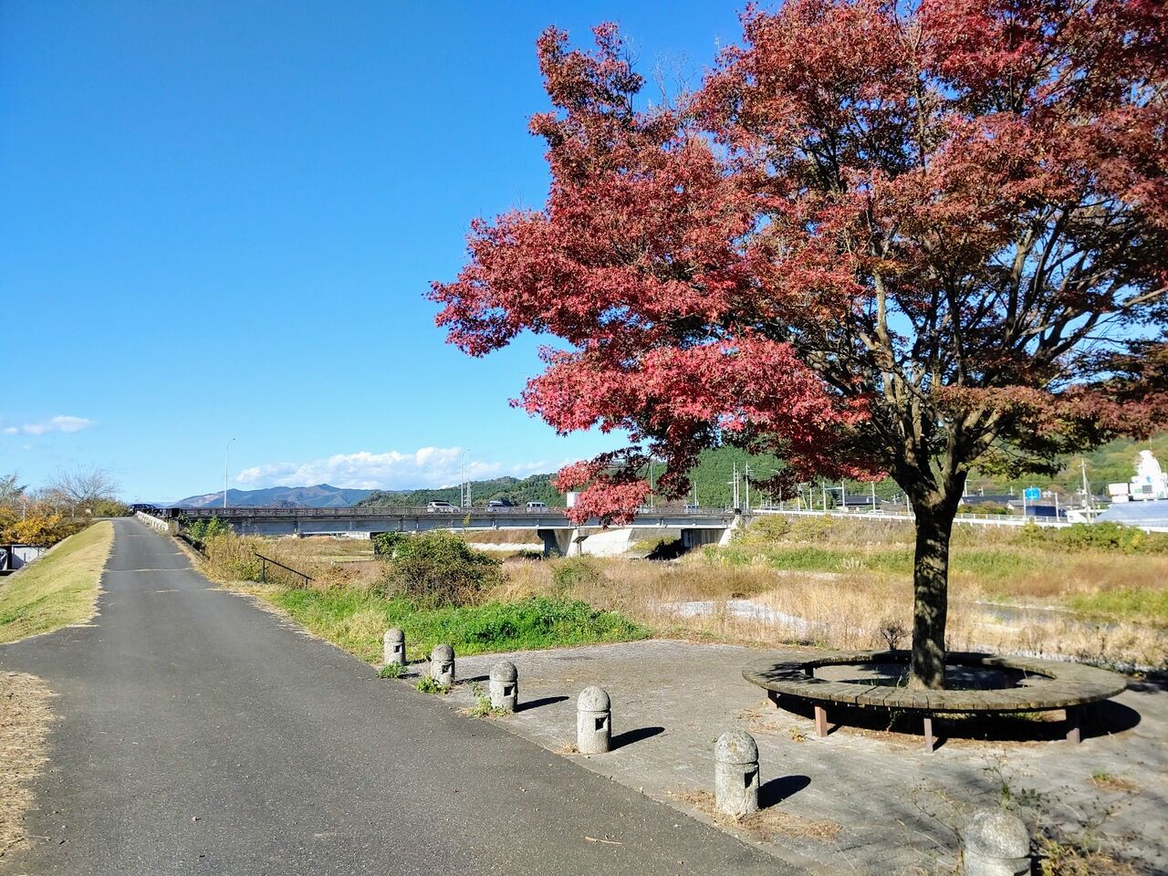 葛生大橋の眺めと秋山川と紅葉 氷室山は遠い 栃木県佐野市 遊々 湯ったり ぶらり旅 ゆゆぶ 葛生大橋の眺めと秋山川と紅葉 氷室山は遠い 栃木県佐野市 遊々 湯ったり ぶらり旅 ゆゆぶ