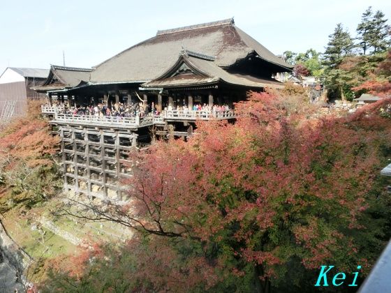 紅葉の京都・清水寺(4)展望台と舞台下から見る「清水の舞台」と紅葉