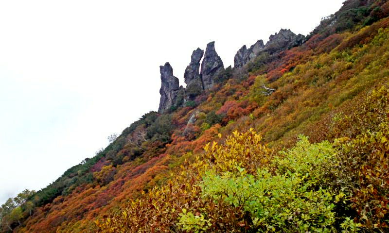 大雪山 黒岳ロープウェイと黒岳登山 4 九合目 山頂の紅葉と眺め ここまで登らなきゃモッタイナイ 北海道上川町 遊々 湯ったり ぶらり旅 ゆゆぶ 大雪山 黒岳ロープウェイと黒岳登山 4 九合目 山頂の紅葉と眺め ここまで登らなきゃモッタイナイ 北海道上川町 遊々 湯ったり ぶらり旅 ゆゆぶ
