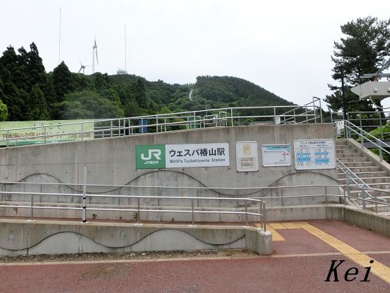 黄金崎不老不死温泉 2 快速リゾートしらかみ ウェスパ椿山 不老ふ死温泉のお部屋からの眺め 青森県深浦町 遊々 湯ったり ぶらり旅 ゆゆぶ