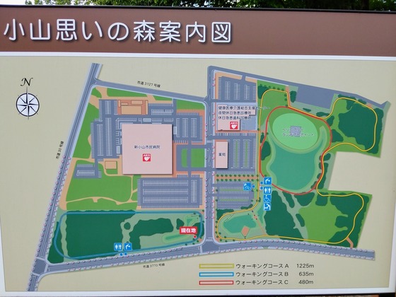 DSC_4352~2