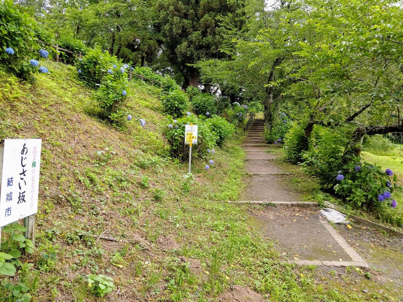 結城歴史公園の あじさい坂 茨城県結城市 ゆる山 湯ったり ぶらり旅 ゆゆぶ