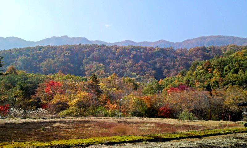 御嶽ロープウェイ 1 御嶽山の紅葉黄葉は終盤 でも空いてて快適な空の旅 長野県木曽町 ゆる山 湯ったり ぶらり旅 ゆゆぶ