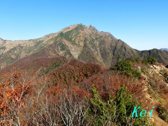 谷川岳登山(2)猫耳△△紅葉の登山道〔群馬県みなかみ町〕 : ゆる山☆湯