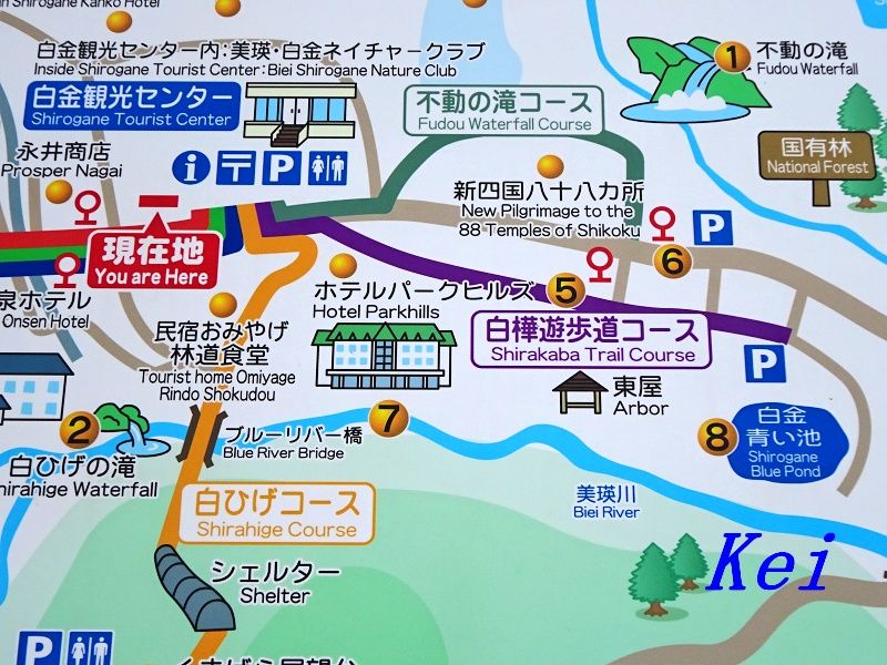 美瑛 白金温泉至近 白ひげの滝 と紅葉 ブルーリバー橋 北海道美瑛町 遊々 湯ったり ぶらり旅 ゆゆぶ