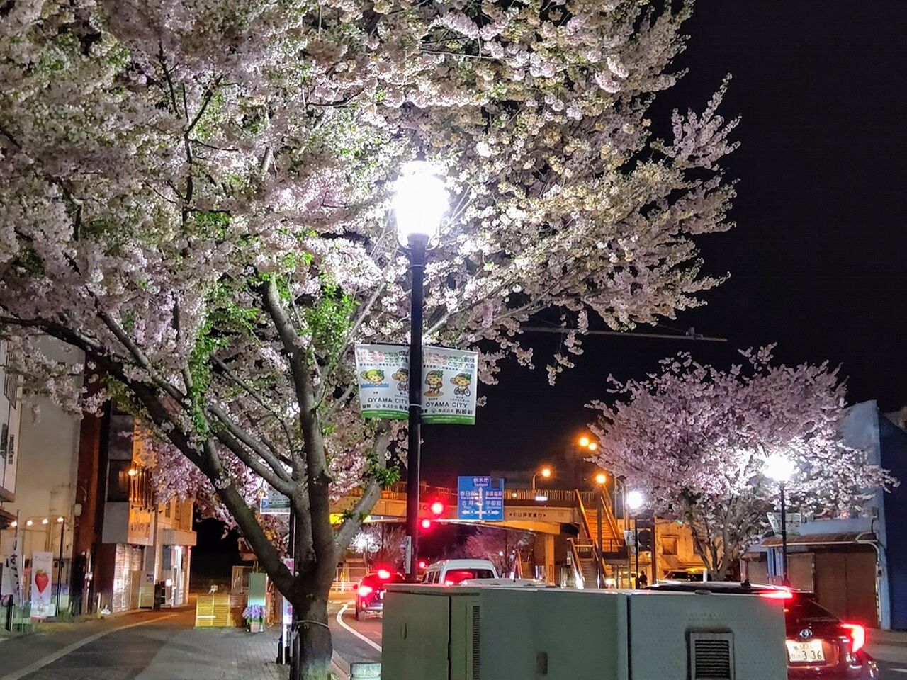 栃木県 小山の思川桜 10 夜桜の思川桜 栃木県小山市 ゆる山 湯ったり ぶらり旅 ゆゆぶ 栃木県 小山の思川桜 10 夜桜の思川桜 栃木県小山市 ゆる山 湯ったり ぶらり旅 ゆゆぶ