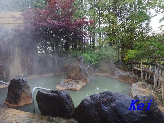 温泉 ホテル 白金 湯元