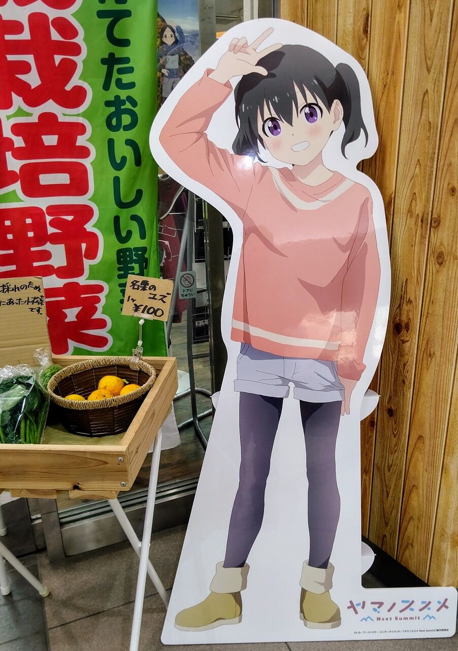 飯能駅と飯能ぎんざ パネルを探せ ヤマノススメ聖地巡礼 埼玉県飯能市 遊々 湯ったり ぶらり旅 ゆゆぶ 飯能駅と飯能ぎんざ パネルを探せ ヤマノススメ聖地巡礼 埼玉県飯能市 遊々 湯ったり ぶらり旅 ゆゆぶ