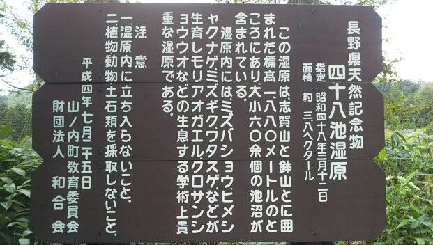 志賀高原 6 ike48 四十八池と大沼池 エゾリンドウ 長野県山ノ内町 遊々 湯ったり ぶらり旅 ゆゆぶ 志賀高原 6 ike48 四十八池と大沼池 エゾリンドウ 長野県山ノ内町 遊々 湯ったり ぶらり旅 ゆゆぶ