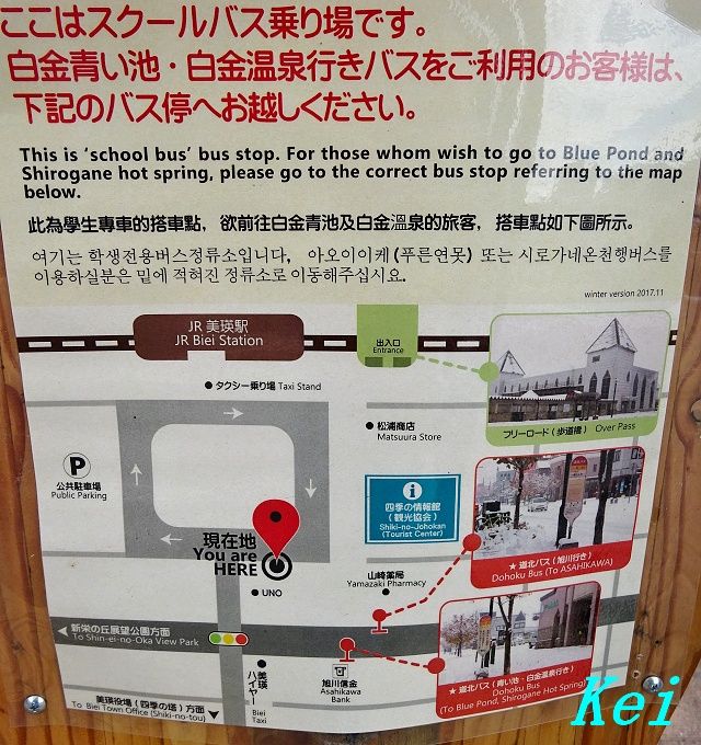 美瑛駅前から路線バスで 青い池 白金温泉 へ 北海道美瑛町 遊々 湯ったり ぶらり旅 ゆゆぶ 美瑛駅前から路線バスで 青い池 白金温泉 へ 北海道美瑛町 遊々 湯ったり ぶらり旅 ゆゆぶ