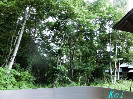 長野県 乗鞍高原温泉 白い温泉の宿 しろがね 4 露天風呂と泉質 お部屋からの眺め 長野県松本市 遊々 湯ったり ぶらり旅 ゆゆぶ