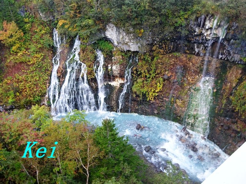 美瑛 白金温泉至近 白ひげの滝 と紅葉 ブルーリバー橋 北海道美瑛町 遊々 湯ったり ぶらり旅 ゆゆぶ
