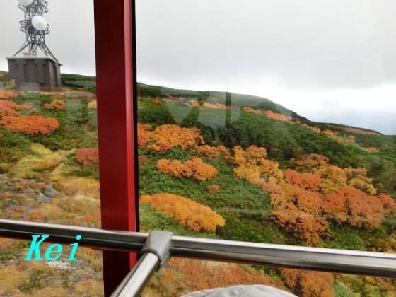 大雪山旭岳ロープウェイ 7 旭岳ロープウェイからの眺め 紅葉 山頂駅からの眺め 北海道上川郡東川町 遊々 湯ったり ぶらり旅 ゆゆぶ 大雪山旭岳ロープウェイ 7 旭岳ロープウェイからの眺め 紅葉 山頂駅からの眺め 北海道上川郡東川町 遊々 湯ったり ぶらり旅 ゆゆぶ