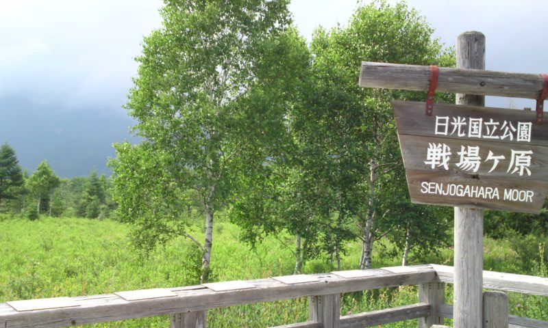 避暑地 奥日光 1 三本松園地と戦場ヶ原と日光ゆばソフト 栃木県日光市 遊々 湯ったり ぶらり旅 ゆゆぶ 避暑地 奥日光 1 三本松園地と戦場ヶ原と日光ゆばソフト 栃木県日光市 遊々 湯ったり ぶらり旅 ゆゆぶ