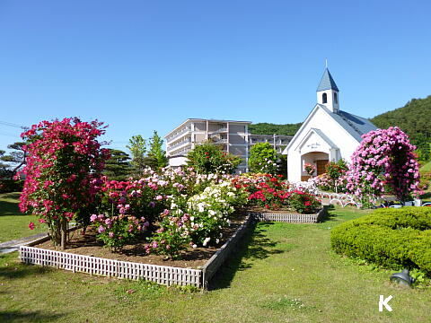 つなぎ温泉 1 ホテル紫苑 の教会とバラ園 岩手県盛岡市 遊々 湯ったり ぶらり旅 ゆゆぶ つなぎ温泉 1 ホテル紫苑 の教会とバラ園 岩手県盛岡市 遊々 湯ったり ぶらり旅 ゆゆぶ