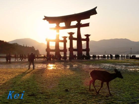 安芸の宮島 厳島神社 11 大鳥居と夕陽のコラボ 天気と時期と干満の時刻次第のキセキ 広島県廿日市市 遊々 湯ったり ぶらり旅 ゆゆぶ