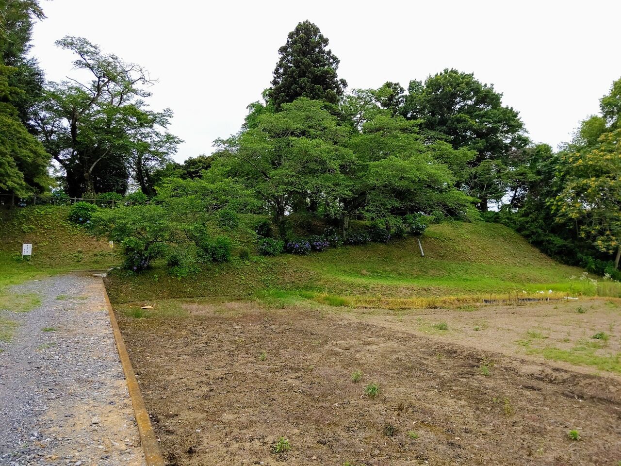 結城歴史公園の あじさい坂 茨城県結城市 ゆる山 湯ったり ぶらり旅 ゆゆぶ
