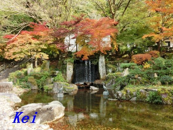 岐阜公園 岐阜城 ４ 岐阜公園のモミジの紅葉 岐阜県岐阜市 遊々 湯ったり ぶらり旅 ゆゆぶ