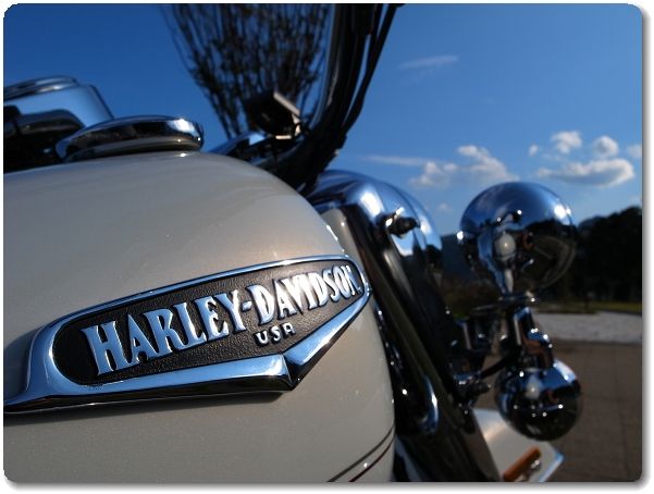 Flhrcオイル漏れ 滲み Roadstrom