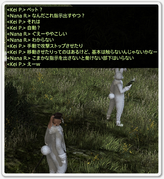 kp007262