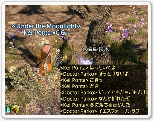 kp004254