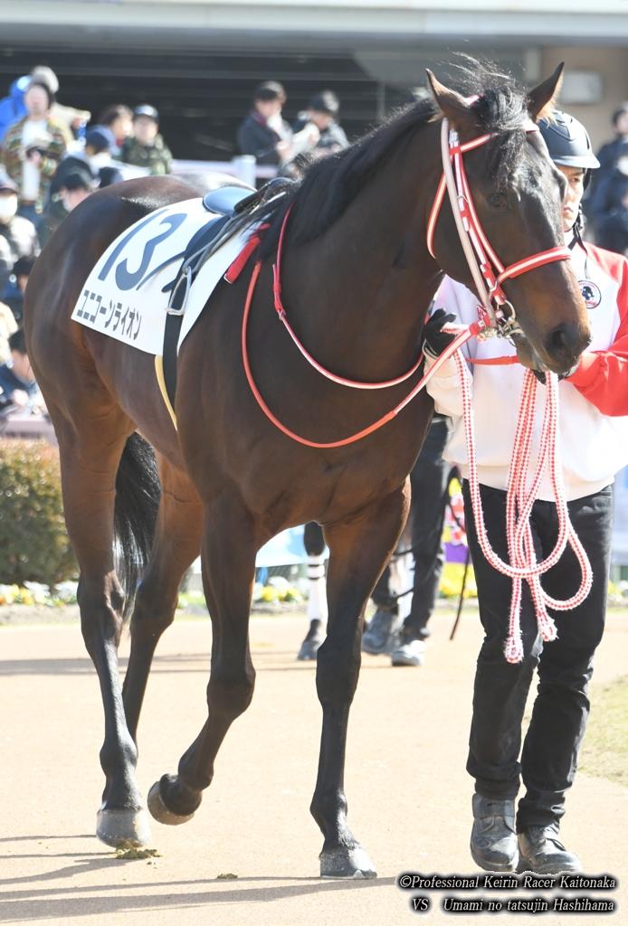 サラブレッドクラブライオン会報 19年2月号 現役競輪選手 垣外中勝哉 Vs 馬見の達人 橋浜保子 サラブレッドクラブライオン会報 19年2月号 現役競輪選手 垣外中勝哉 Vs 馬見の達人 橋浜保子