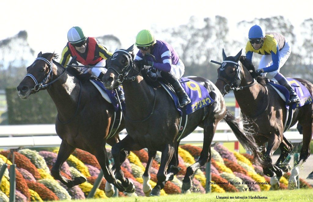 菊花賞の自転車的回顧 現役競輪選手 垣外中勝哉 Vs 馬見の達人 橋浜保子
