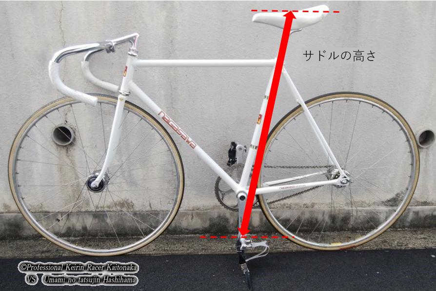 大阪杯の自転車的回顧 現役競輪選手 垣外中勝哉 Vs 馬見の達人 橋浜保子 大阪杯の自転車的回顧 現役競輪選手 垣外中勝哉 Vs 馬見の達人 橋浜保子