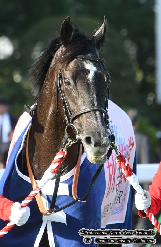秋華賞の自転車的回顧 : 「現役競輪選手」垣外中勝哉 VS 「馬見の