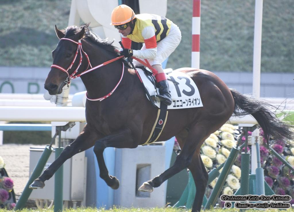 サラブレッドクラブライオン会報 19年2月号 現役競輪選手 垣外中勝哉 Vs 馬見の達人 橋浜保子 サラブレッドクラブライオン会報 19年2月号 現役競輪選手 垣外中勝哉 Vs 馬見の達人 橋浜保子