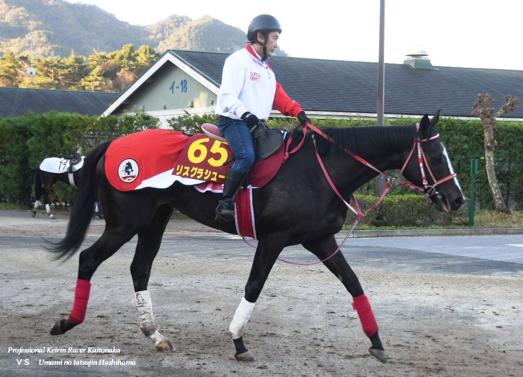 矢作芳人厩舎オリジナル　リスグラシュー　ジャケット　新品未使用品　サイズM 矢作調教師からの記念品 : 「現役競輪選手」垣外中勝哉 VS 「馬見の