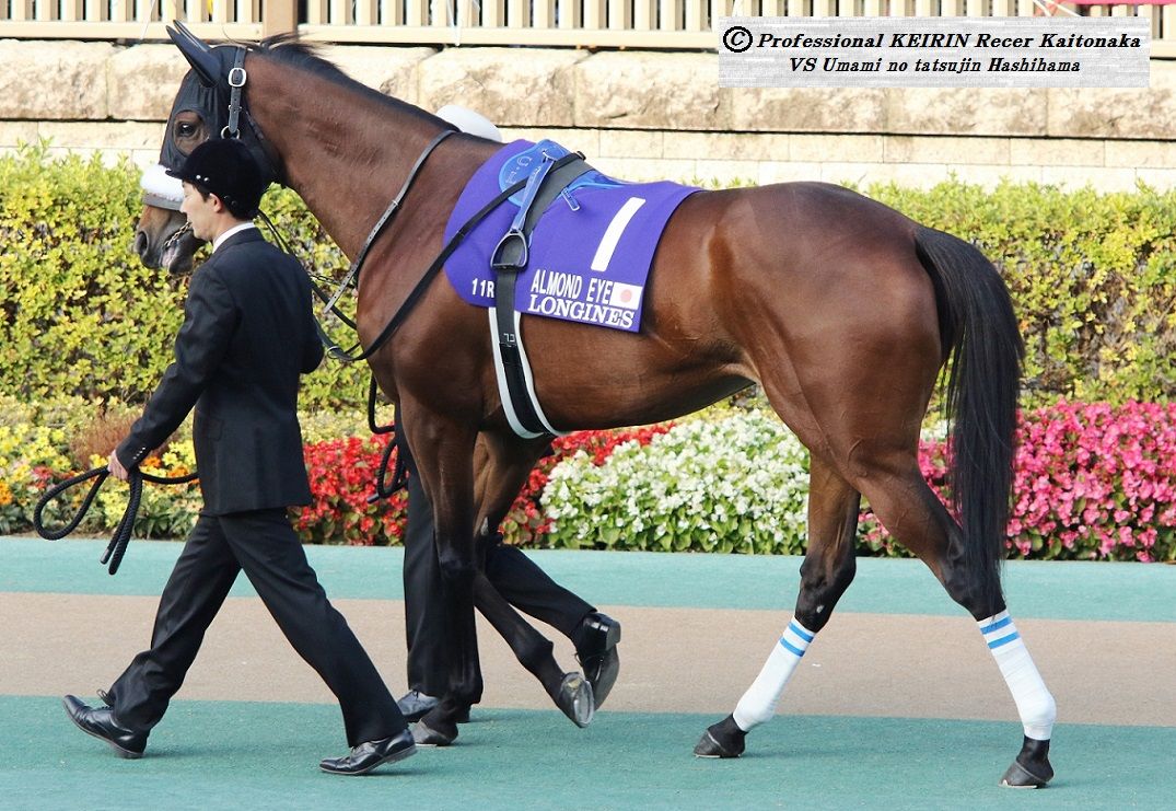 ジャパンカップの自転車的回顧 : 「現役競輪選手」垣外中勝哉 ジャパンカップの自転車的回顧 : 「現役競輪選手」垣外中勝哉
