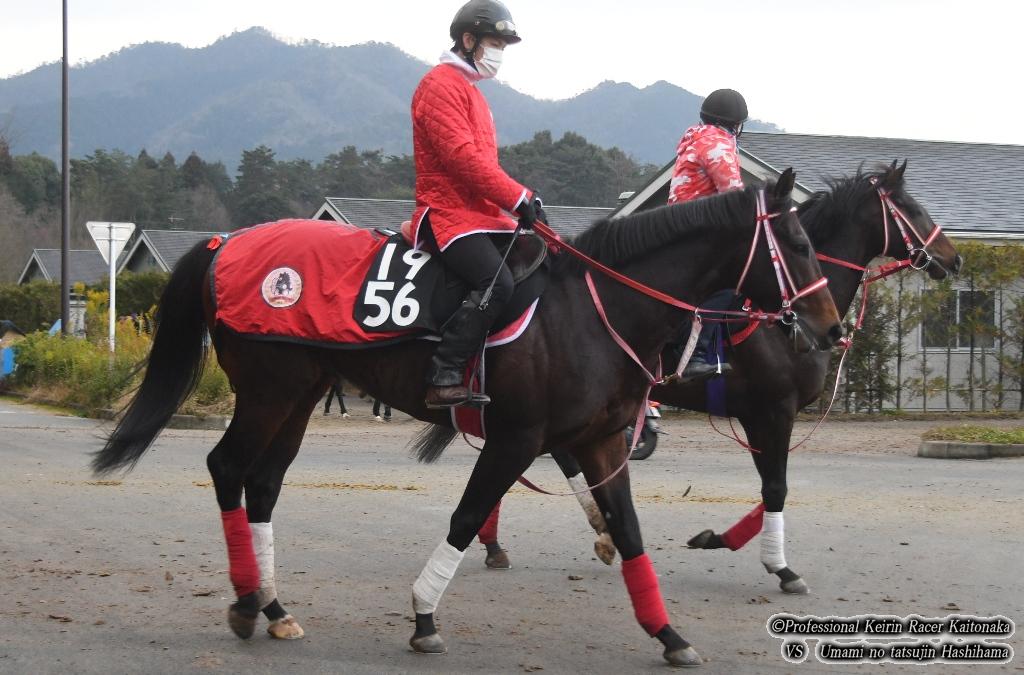 サラブレッドクラブライオン会報 19年2月号 現役競輪選手 垣外中勝哉 Vs 馬見の達人 橋浜保子 サラブレッドクラブライオン会報 19年2月号 現役競輪選手 垣外中勝哉 Vs 馬見の達人 橋浜保子