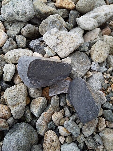 瑪瑙を求めて武庫川へ 瑪瑙は火打石にもなるらしい マイルドブログ