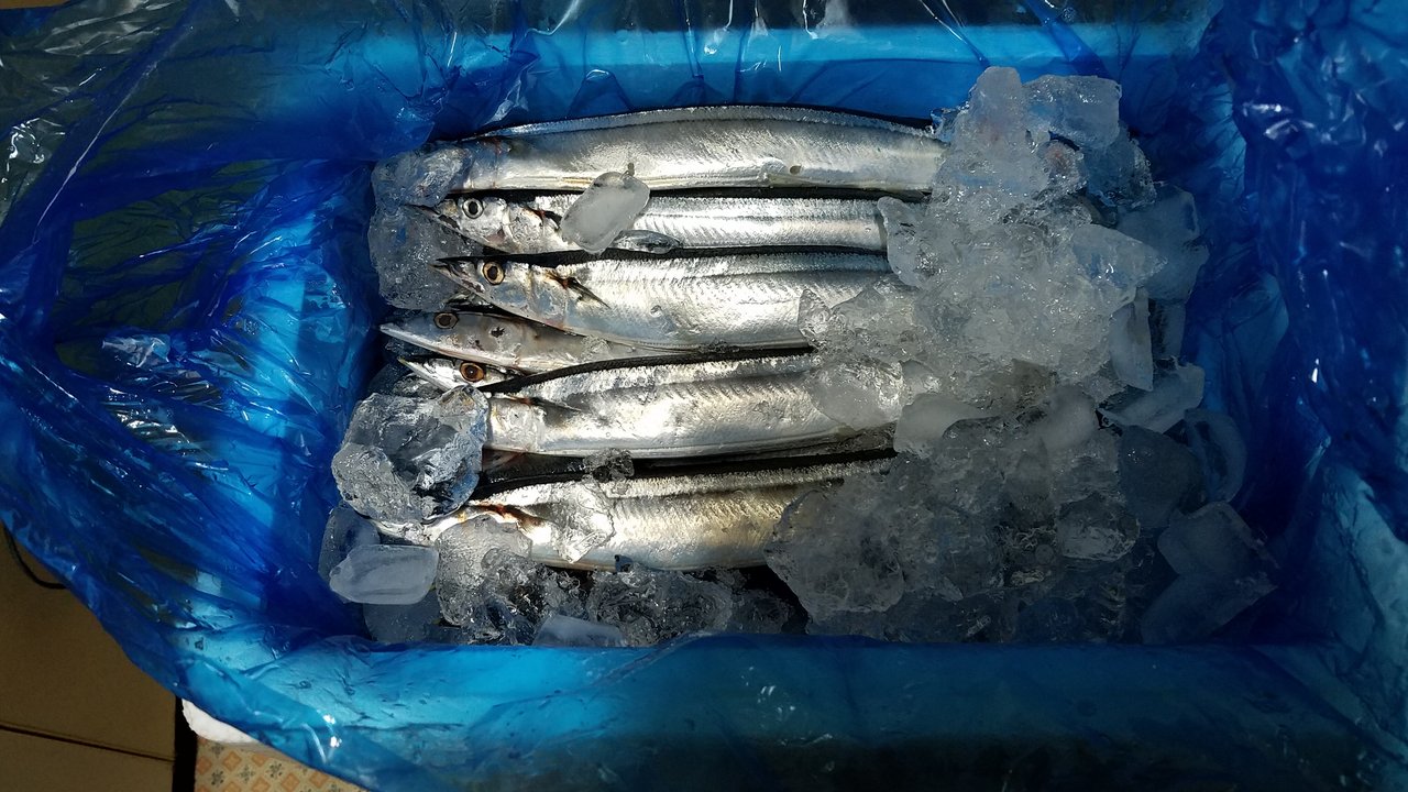 秋の魚と言えば 和えびのわっ 誰得 なブログ 秋の魚と言えば 和えびのわっ 誰得 なブログ