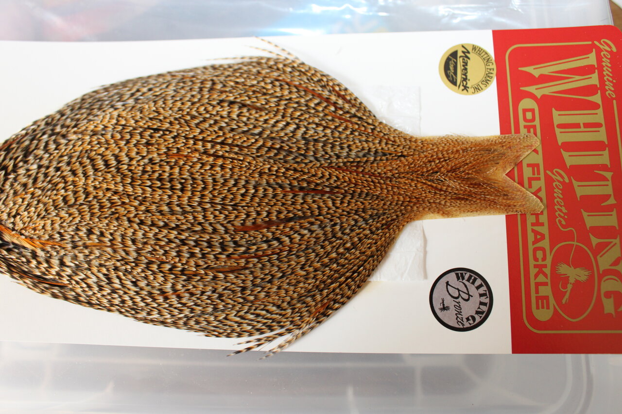 ホワイティング クリーが届いた！！ : 和えびのわっ！ ～誰得!?なブログ～