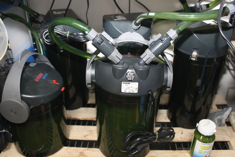 外部フィルターの掃除の仕方 和えびのわっ 誰得 なブログ