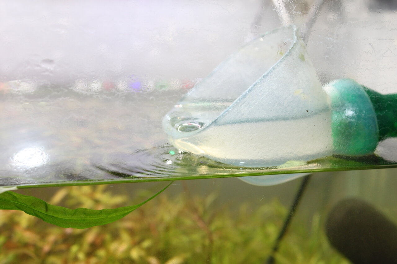 外部フィルターの流量低下のビフォーアフター 和えびのわっ 誰得 なブログ