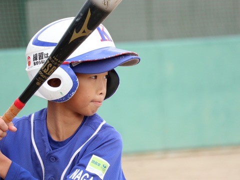 line_2973533794041062