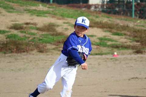 line_3332587059722211