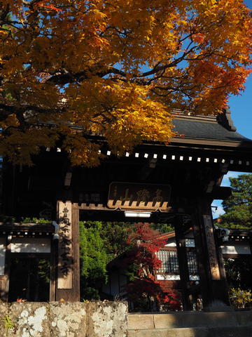 11月の高山 東山遊歩道 飛騨高山の箸や女将のブログ 食卓から幸せを